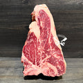 T-BONE, SASHI SAGYU